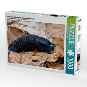 CALVENDO Puzzle Schwarzer Schnegel (Limax cinereoniger) 1000 Teile Lege-Größe 64 x 48 cm Foto-Puzzle Bild von Christine Schmutzler-Schaub von Schmutzler-Schaub,  Christine