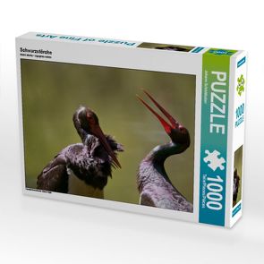 CALVENDO Puzzle Schwarzstörche 1000 Teile Lege-Größe 64 x 48 cm Foto-Puzzle Bild von Johann Schörkhuber