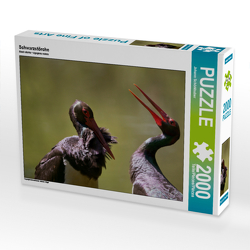 CALVENDO Puzzle Schwarzstörche 2000 Teile Lege-Größe 90 x 67 cm Foto-Puzzle Bild von Johann Schörkhuber