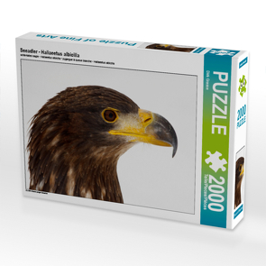 CALVENDO Puzzle Seeadler – Haliaeetus albicilla 2000 Teile Lege-Größe 90 x 67 cm Foto-Puzzle Bild von Dirk Grasse