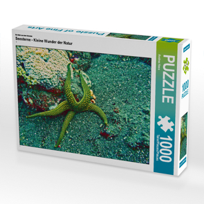 CALVENDO Puzzle Seesterne – Kleine Wunder der Natur 1000 Teile Lege-Größe 64 x 48 cm Foto-Puzzle Bild von Andrea Hess