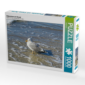 CALVENDO Puzzle Silbermöwe am Strand 1000 Teile Lege-Größe 64 x 48 cm Foto-Puzzle Bild von Anja Frost