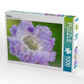 CALVENDO Puzzle Skabiose 1000 Teile Lege-Größe 64 x 48 cm Foto-Puzzle Bild von Gisela Kruse