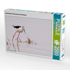 CALVENDO Puzzle Stelzenläufer (Himantopus himantopus) 2000 Teile Lege-Größe 90 x 67 cm Foto-Puzzle Bild von Benny Trapp