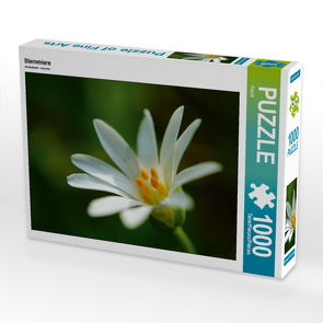 CALVENDO Puzzle Sternmiere 1000 Teile Lege-Größe 64 x 48 cm Foto-Puzzle Bild von Flori0