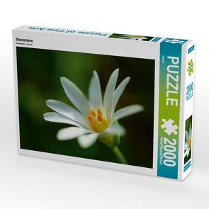 CALVENDO Puzzle Sternmiere 2000 Teile Lege-Größe 90 x 67 cm Foto-Puzzle Bild von Flori0