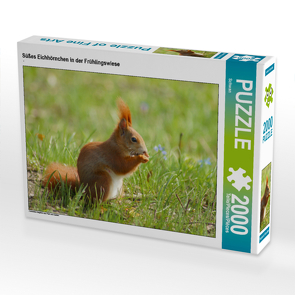 CALVENDO Puzzle Süßes Eichhörnchen in der Frühlingswiese 2000 Teile Lege-Größe 90 x 67 cm Foto-Puzzle Bild von Schwan