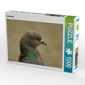 CALVENDO Puzzle Taubenkopf 1000 Teile Lege-Größe 64 x 48 cm Foto-Puzzle Bild von kattobello