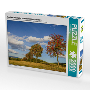 CALVENDO Puzzle Vogelbeer-Baumallee mit Blick Richtung Feldberg 2000 Teile Lege-Größe 90 x 67 cm Foto-Puzzle Bild von Christian Müringer