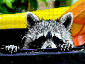 CALVENDO Puzzle Waschbär auf Futtersuche 2000 Teile Lege-Größe 900 x 670 cm Foto-Puzzle Bild von Jean-Louis Glineur