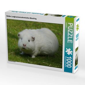 CALVENDO Puzzle Weißes Langhaarmeerschweinchen Mischling 1000 Teile Lege-Größe 64 x 48 cm Foto-Puzzle Bild von kattobello