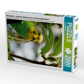 CALVENDO Puzzle Wellensittich – glückliche Wellihenne bei der Nahrungsaufnahme! 2000 Teile Lege-Größe 67 x 90 cm Foto-Puzzle Bild von Björn Bergmann