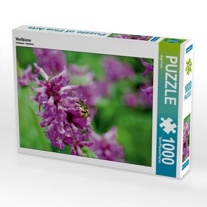 CALVENDO Puzzle Wildbiene auf Blüte. Wollbiene 1000 Teile Lege-Größe 64 x 48 cm Foto-Puzzle Bild von Anja Frost