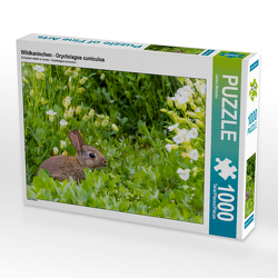 CALVENDO Puzzle Wildkaninchen – Oryctolagus cuniculus 1000 Teile Lege-Größe 64 x 48 cm Foto-Puzzle Bild von Janita Webeler