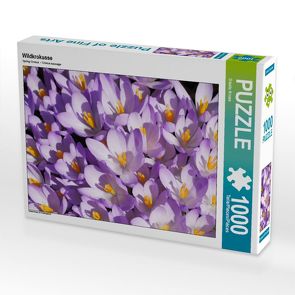 CALVENDO Puzzle Wildkrokusse 1000 Teile Lege-Größe 64 x 48 cm Foto-Puzzle Bild von Gisela Kruse