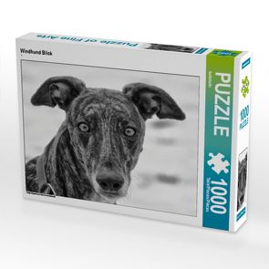 CALVENDO Puzzle Windhund Blick 1000 Teile Lege-Größe 64 x 48 cm Foto-Puzzle Bild von kattobello