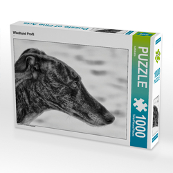 CALVENDO Puzzle Windhund Profil 1000 Teile Lege-Größe 64 x 48 cm Foto-Puzzle Bild von kattobello