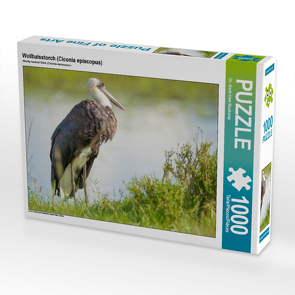 CALVENDO Puzzle Wollhalsstorch (Ciconia episcopus) 1000 Teile Lege-Größe 64 x 48 cm Foto-Puzzle Bild von Dr. Gerd-Uwe Neukamp