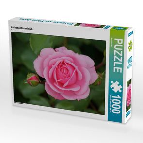 CALVENDO Puzzle Zartrosa Rosenblüte 1000 Teile Lege-Größe 64 x 48 cm Foto-Puzzle Bild von kattobello