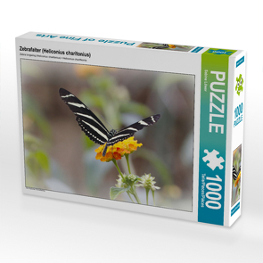 CALVENDO Puzzle Zebrafalter (Heliconius charitonius) 1000 Teile Lege-Größe 640 x 480 cm Foto-Puzzle Bild von Sabine Löwer