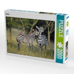 CALVENDO Puzzle Zebras 2000 Teile Lege-Größe 90 x 67 cm Foto-Puzzle Bild von Flori0