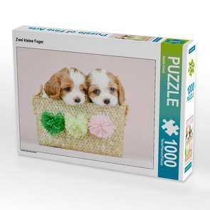 CALVENDO Puzzle Zwei kleine Feger 1000 Teile Lege-Größe 64 x 48 cm Foto-Puzzle Bild von Natalie Eckelt