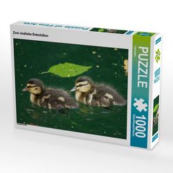 CALVENDO Puzzle Zwei niedliche Entenküken 1000 Teile Lege-Größe 64 x 48 cm Foto-Puzzle Bild von Kattobello