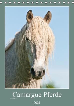 Camargue Pferde – weiße Mähnen (Tischkalender 2021 DIN A5 hoch) von Bölts,  Meike