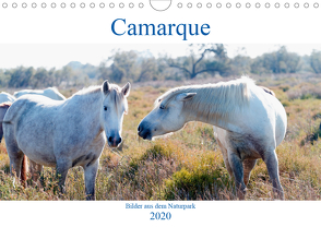 Camarque – Bilder aus dem Naturpark (Wandkalender 2020 DIN A4 quer) von Eble,  Tobias