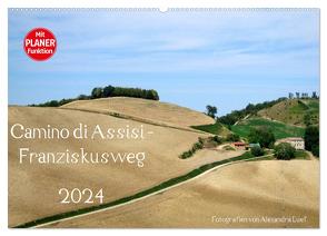 Camino di Assisi – Franziskusweg (Wandkalender 2024 DIN A2 quer), CALVENDO Monatskalender von Luef,  Alexandra