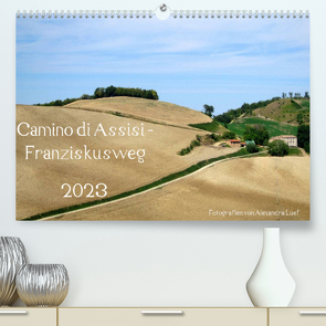 Camino di Assisi – FranziskuswegAT-Version (Premium, hochwertiger DIN A2 Wandkalender 2023, Kunstdruck in Hochglanz) von Luef,  Alexandra