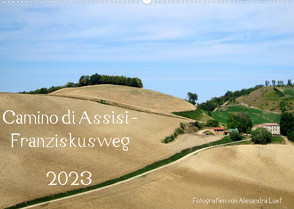 Camino di Assisi – FranziskuswegAT-Version (Wandkalender 2023 DIN A2 quer) von Luef,  Alexandra