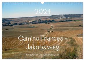 Camino Frances – Jakobsweg (Wandkalender 2024 DIN A3 quer), CALVENDO Monatskalender von Luef,  Alexandra