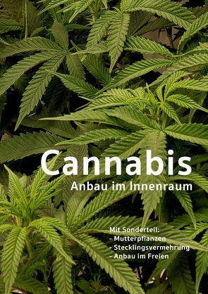 Cannabis Anbau im Innenraum von Schön,  Remko