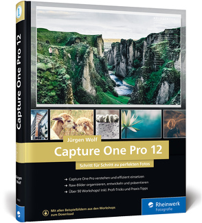 Capture One Pro 12 von Wolf,  Jürgen