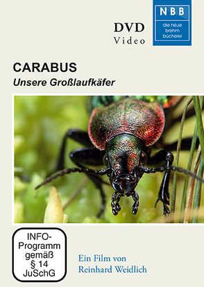 Carabus von Weidlich,  Reinhard