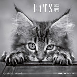 Cats by Sabine Rath 2019 von ALPHA EDITION, Rath,  Sabine