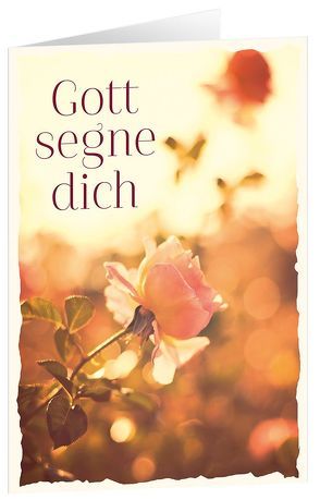 CD-Geschenk-Card Gott segne dich von Nelson,  Sefora, Pepper,  Jennifer, Pepper,  Martin, Roming,  Denise