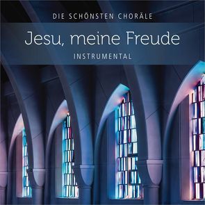 CD Jesu, meine Freude von Rieger,  Jochen