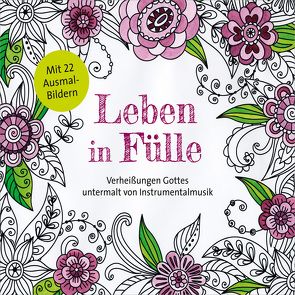 Leben in Fülle von Kopfermann,  Arne, Meyer,  Toby, Schepmann,  Philipp