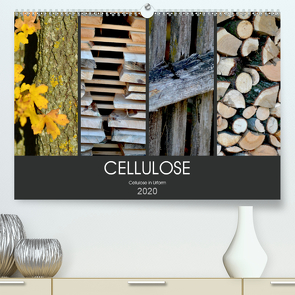 Cellulose, Cellulose in Urform (Premium, hochwertiger DIN A2 Wandkalender 2020, Kunstdruck in Hochglanz) von Fotokullt