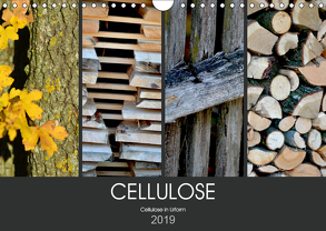 Cellulose, Cellulose in Urform (Wandkalender 2019 DIN A4 quer) von Fotokullt