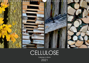 Cellulose, Cellulose in Urform (Wandkalender 2021 DIN A3 quer) von Fotokullt