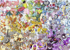 Challenge Puzzle – Pokemon