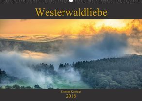 Chamäleon und Co (Tischkalender 2018 DIN A5 quer) von Muszalski,  Agata