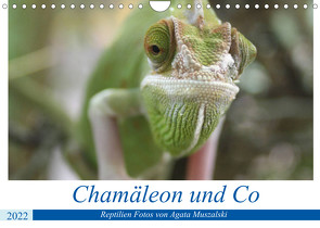 Chamäleon und Co (Wandkalender 2022 DIN A4 quer) von Muszalski,  Agata