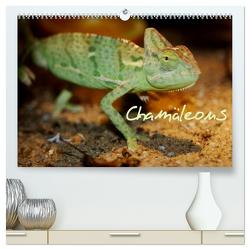 Chamäleons (hochwertiger Premium Wandkalender 2024 DIN A2 quer), Kunstdruck in Hochglanz von Chawera,  Chawera