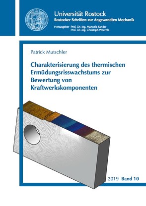 Charakterisierung des thermischen Ermüdungsrisswachstums zur Bewertung von Kraftwerkskomponenten von Mutschler,  Patrick