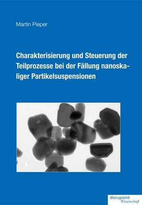 Charakterisierung und Steuerung der Teilprozesse bei der Fällung nanoskaliger Partikelsuspensionen von Pieper,  Martin