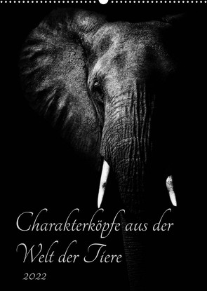 Charakterköpfe aus der Welt der Tiere (Wandkalender 2022 DIN A2 hoch) von und Holger Karius,  Kirsten